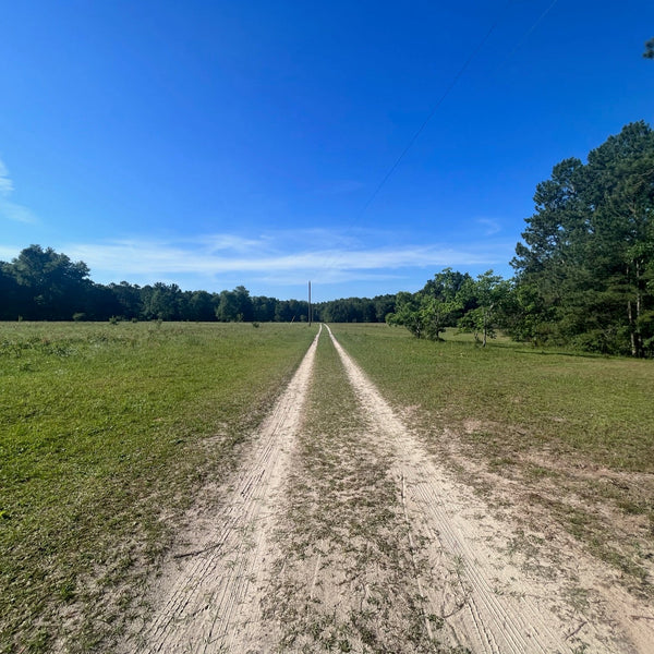 Nath Alignment INO Mela 2026