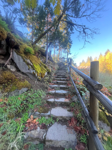 LAUNCHING SPRING 2026 - Twilight Yoga at Breitenbush Hotsprings