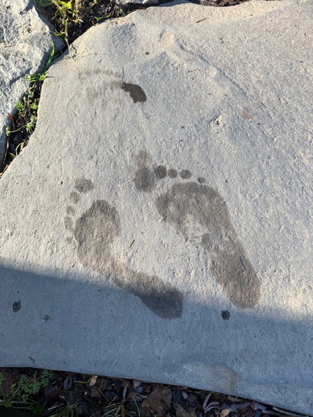 LAUNCHING SPRING 2026 - Twilight Yoga at Breitenbush Hotsprings