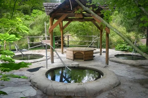 LAUNCHING SPRING 2026 - Twilight Yoga at Breitenbush Hotsprings